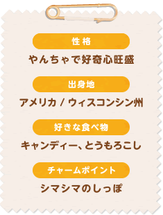 性格　やんちゃで好奇心旺盛　出身地　アメリカ/ウィスコンシン州　好きな食べ物　キャンディー、とうもろこし　チャームポイント　シマシマのしっぽ
